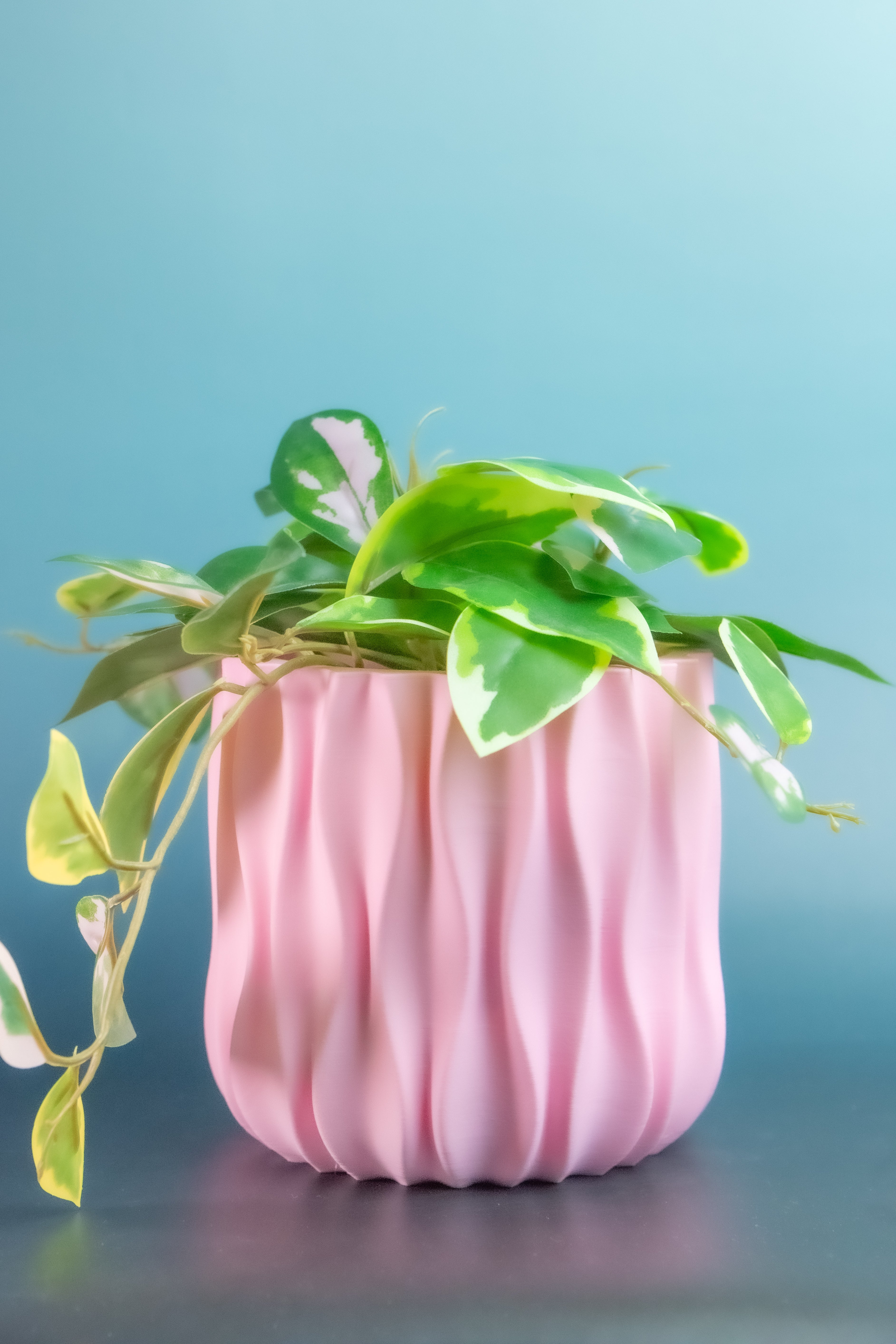 Future plant pot